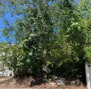 Venta terreno  residencial regata pto. Morelos, q. Roo