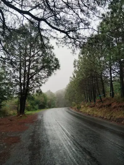 Terreno en venta en Tapalpa - foto 3