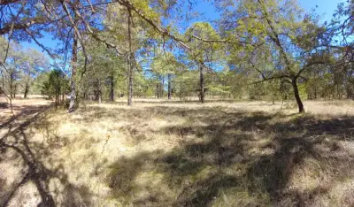 Terreno en venta en Durango - foto 2
