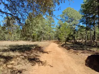 Terreno campestre ecoparque providencia Durango