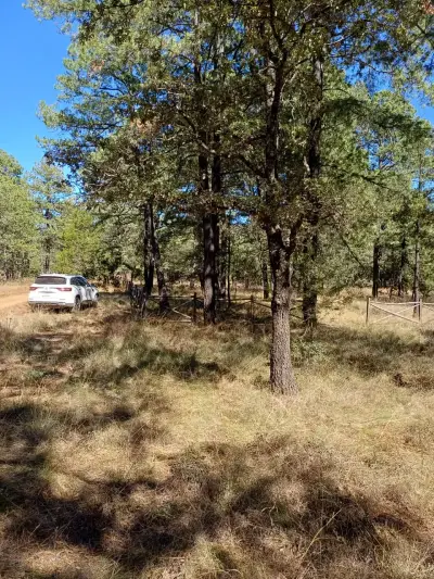 Terreno en venta en Durango - foto 4