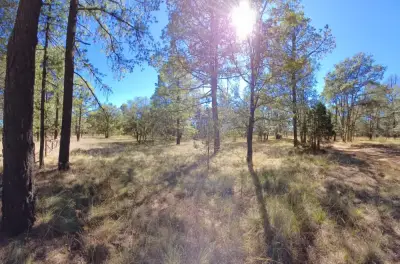 Terreno en venta en Durango - foto 3