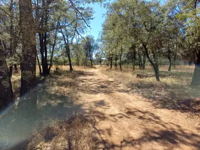 2000m2 de bosque en ecoparque providencia Durango