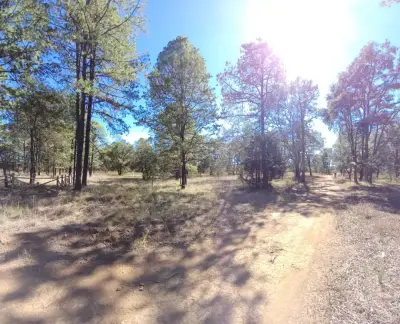 Terreno en venta en Durango - foto 5