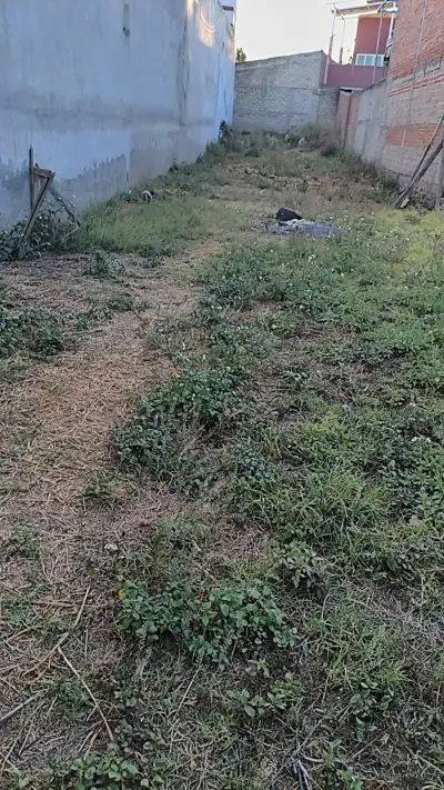 Terreno en venta en Zapopan - foto 2