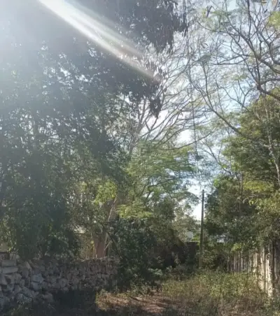 Terreno en venta en Mérida - foto 5