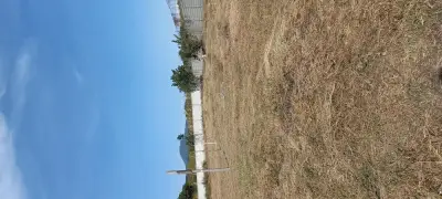 Rancho en renta en Totolapan - foto 2