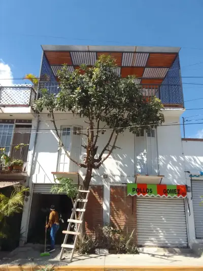 Local comercial en renta en Cuernavaca