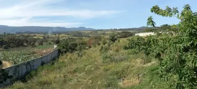 Finca agropecuaria y ecoturistica