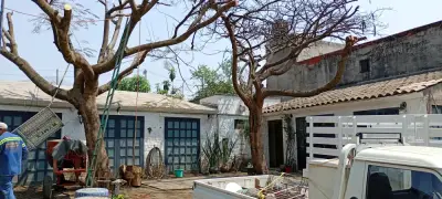 Local comercial en renta en Jiutepec - foto 3