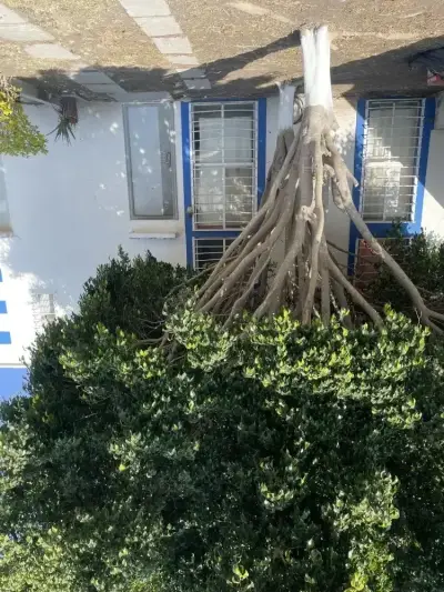 Casa con terreno y construcción excedente