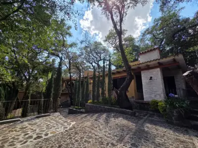 Rento bonita cabaña en zona boscosa Tepoztlán