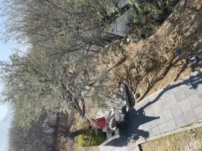 Terreno en venta en El Marqués - foto 5