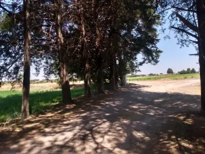 Terreno en venta en San Miguel de Allende - foto 4