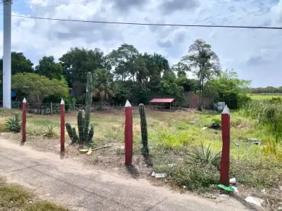 Terreno con palapita