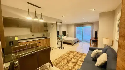 Loft en el corazon de queretaro