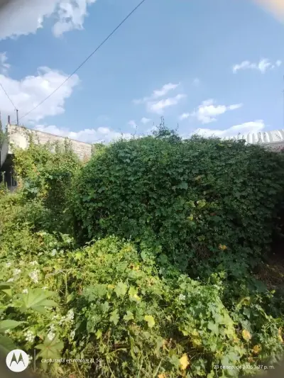 Terreno en venta en Chalco - foto 2