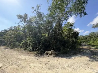 Terreno en venta en Tulum - foto 5