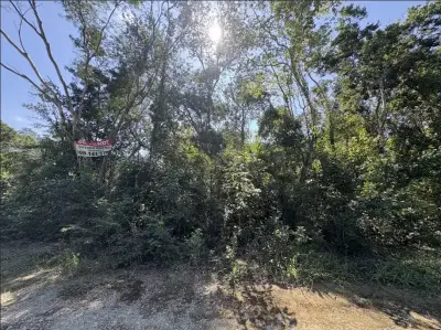 Terreno en venta en Tulum - foto 3