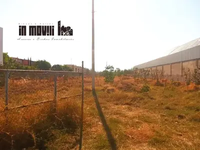 Terreno en renta en Santa Cruz Xoxocotlán - foto 4