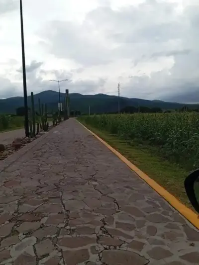Terreno en venta en San Miguel de Allende - foto 4