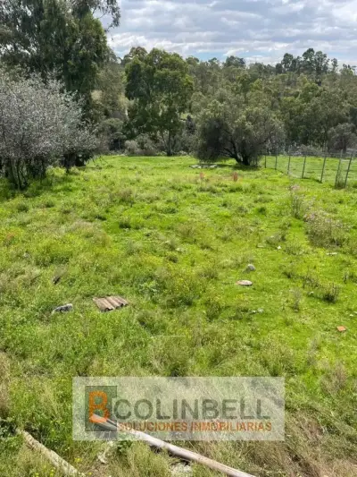 Terreno en venta en Texcoco - foto 3