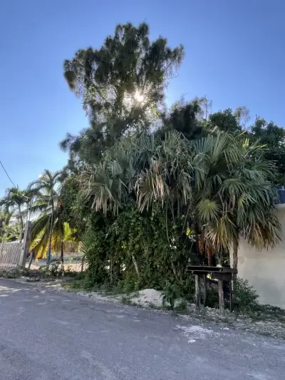 Terreno en venta en Bacalar - foto 3
