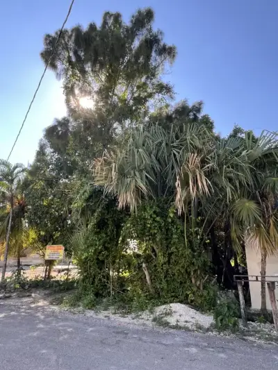 Terreno en venta en Bacalar - foto 2