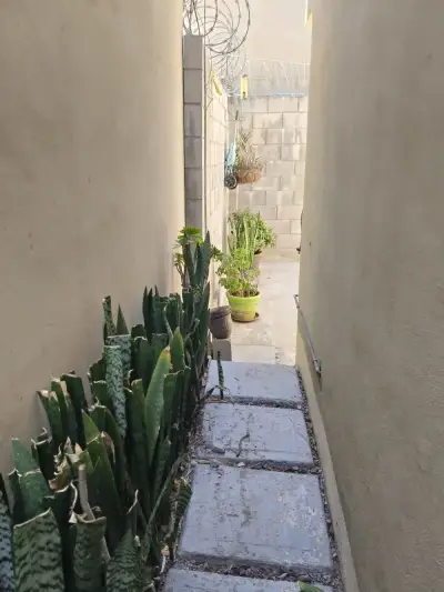 Casa en renta en Tijuana - foto 5