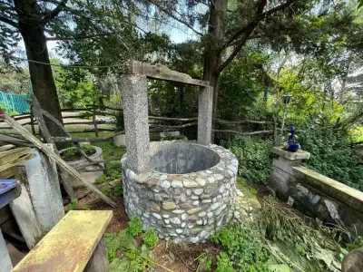 Otros inmuebles en renta en Álvaro Obregón - foto 4