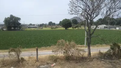 Terreno regular de 1,765.83 m2 xalpatlaco servicios Atlixco