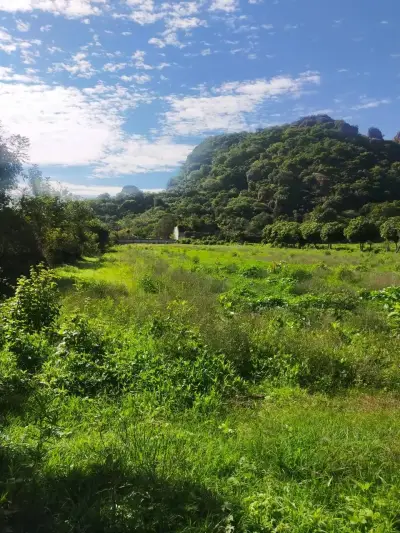 Terreno en venta en Tepoztlán - foto 5