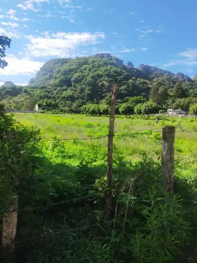 Terreno en venta en Tepoztlán - foto 4