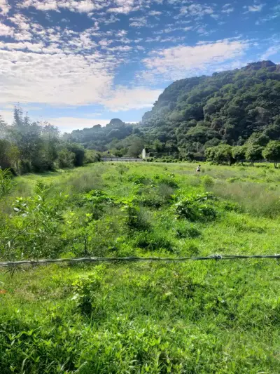 Terreno en venta en Tepoztlán - foto 2