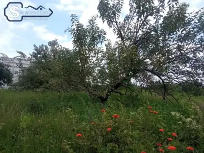 Bonito terreno en oaxtepec Morelos🤩