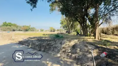 Terreno en venta en Yautepec - foto 3
