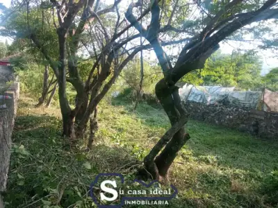 Terreno en venta en Yautepec - foto 3