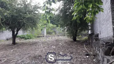 Terreno en venta en Yautepec - foto 4