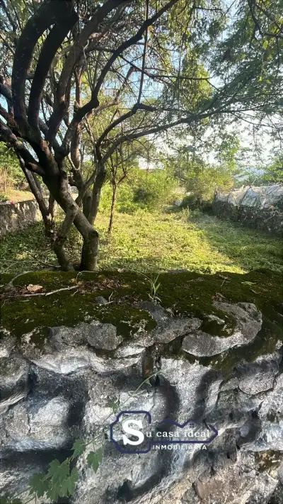 Terreno en venta en Yautepec - foto 4