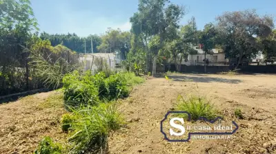 Terreno en venta en Yautepec - foto 4