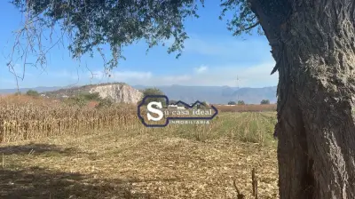 Terreno en venta en Yautepec - foto 3