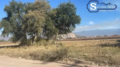 Terreno en venta en Yautepec - foto 2
