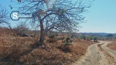 Terreno en venta en Yecapixtla - foto 4