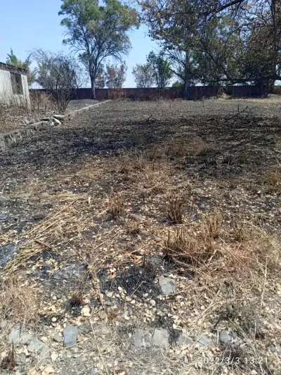 Terreno en venta en Ayala - foto 3