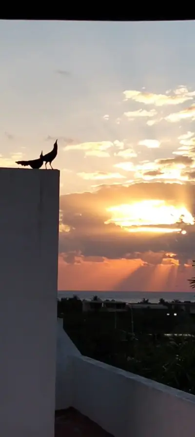 Departamento en venta en Cancun