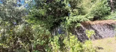 Terreno en venta en Tlalnepantla - foto 2