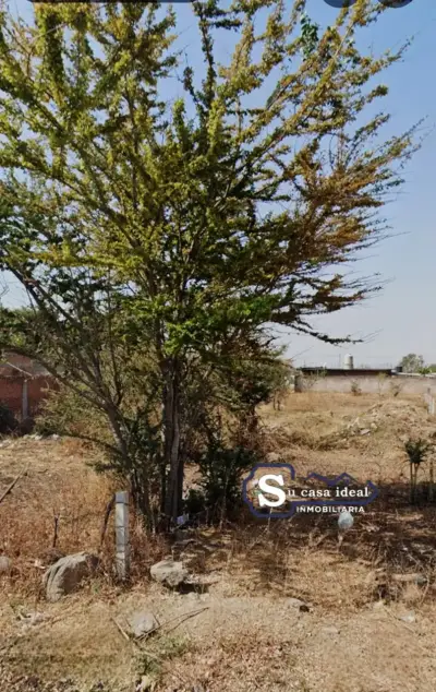 Terreno en venta en Cuautla - foto 5
