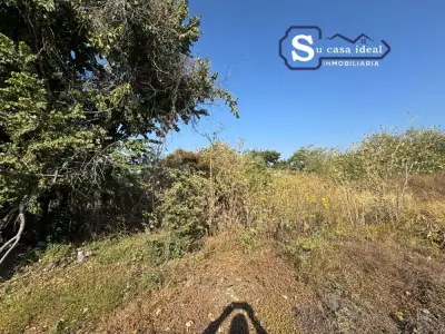 Terreno en venta en Tepexco - foto 3