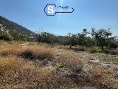 Terreno en venta en Tepexco - foto 4