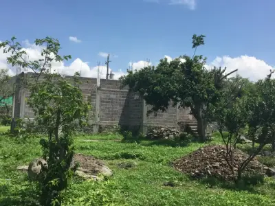 Terreno en venta en Yautepec - foto 4